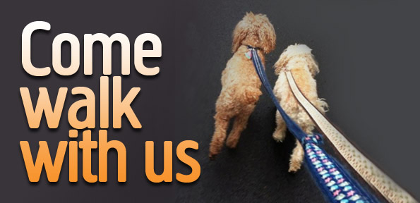 Come walk with us.